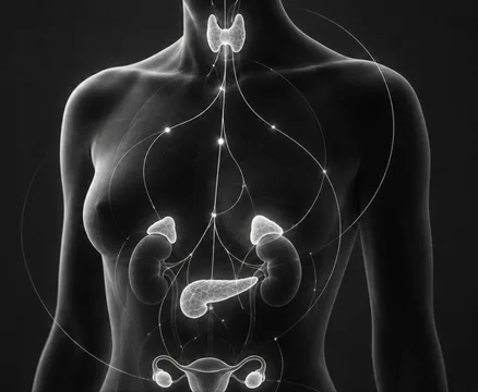 Hormone Optimization